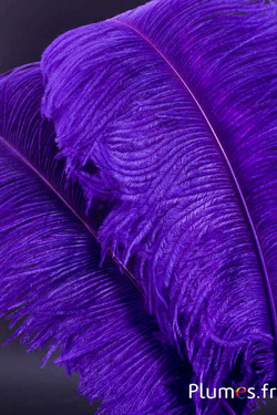 Autruche premium - 50-60 cm - aubergine-fuchsia